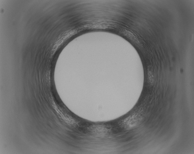 X0000057090534200509301553