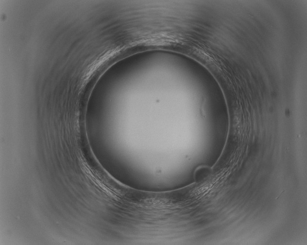 X0000057090535200509301553