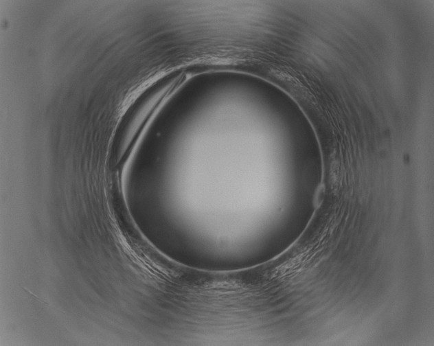 X0000057090536200509301553