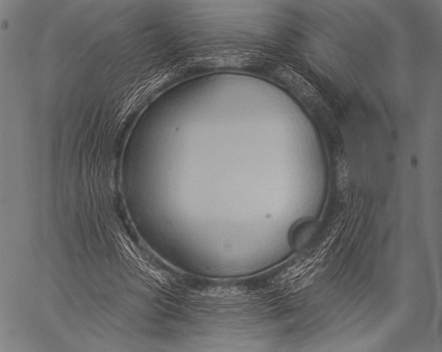 X0000057090537200509301553