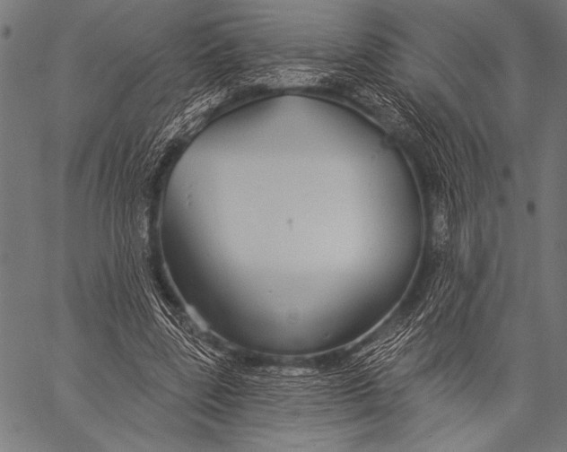 X0000057090539200509301553