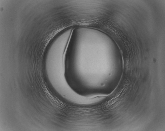 X0000057090540200509301553