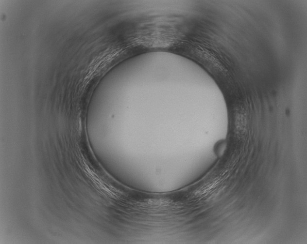 X0000057090541200509301553