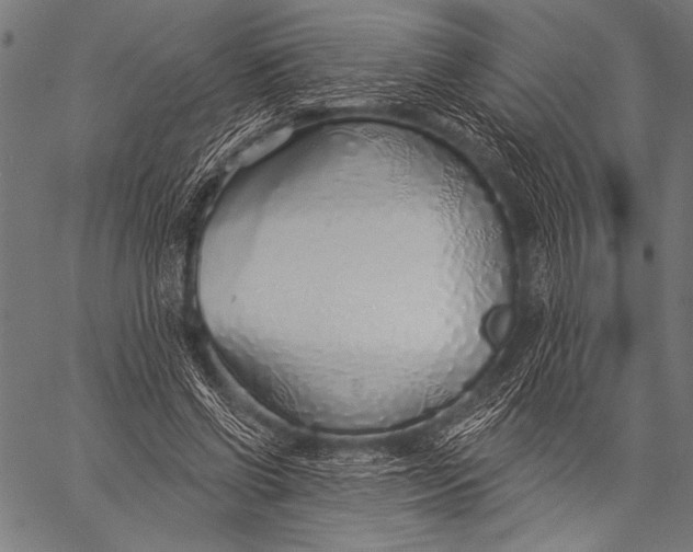 X0000057090542200509301553