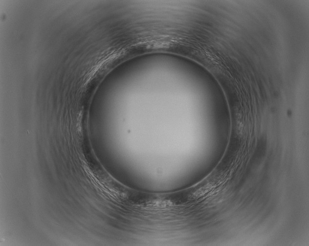 X0000057090543200509301553