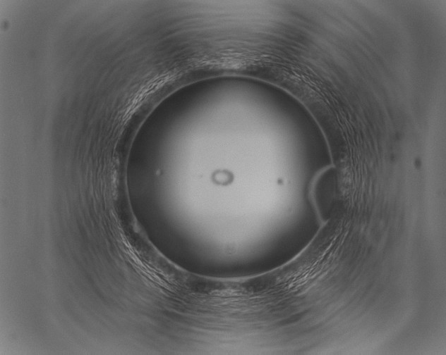 X0000057090544200509301553