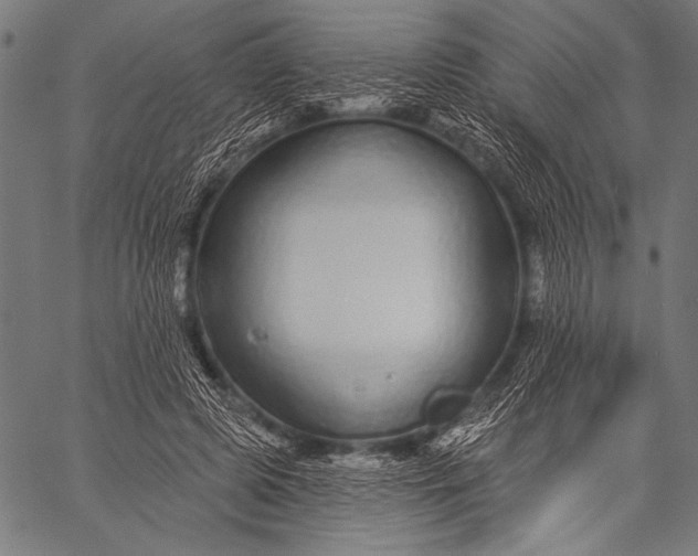 X0000057090545200509301553