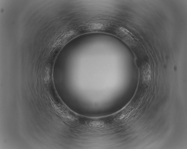 X0000057090546200509301553