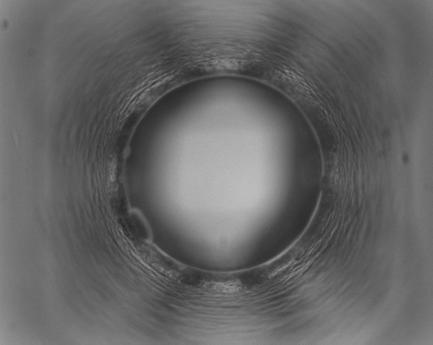 X0000057090548200509301553