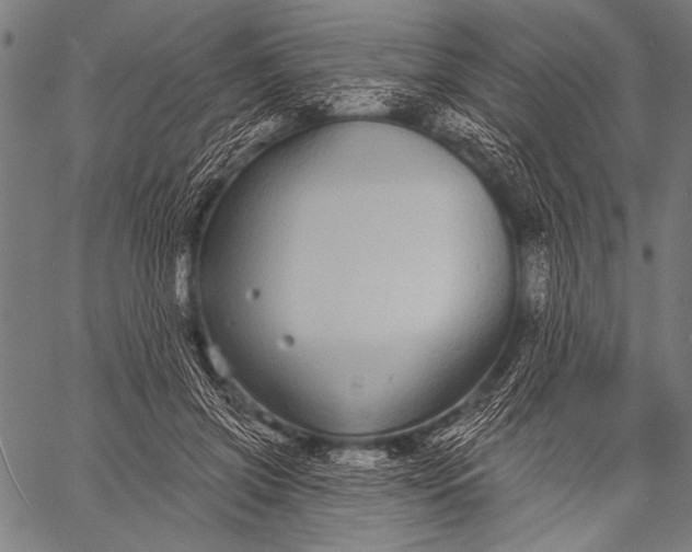 X0000057090549200509301553