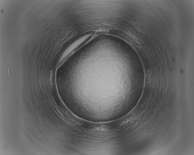 X0000057090550200509301553