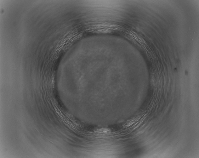 X0000057090551200509301553