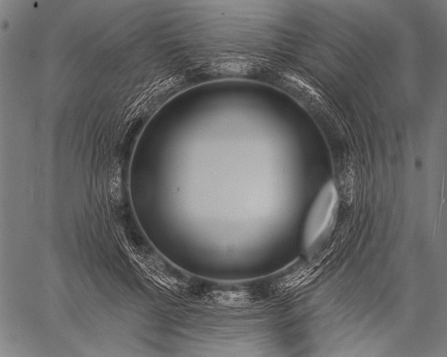 X0000057090552200509301554