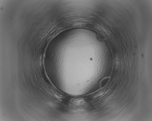 X0000057090554200509301554