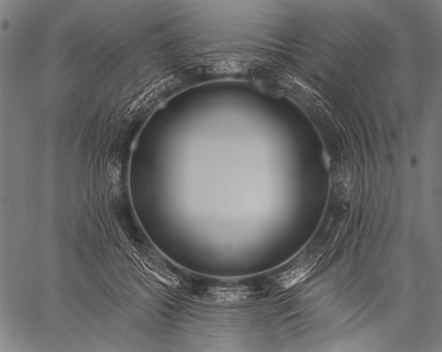 X0000057090556200509301554