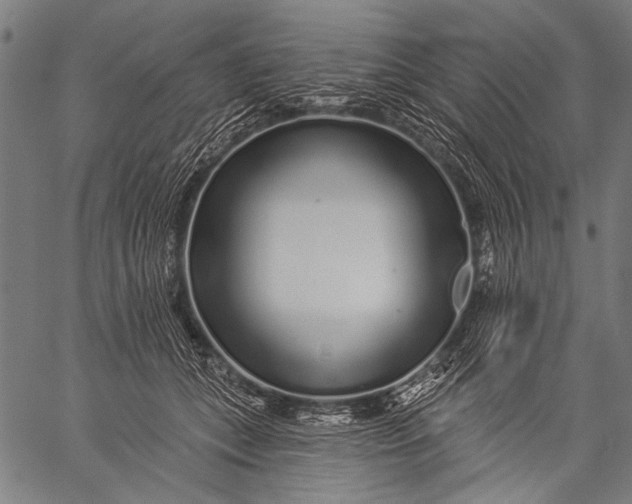 X0000057090559200509301554