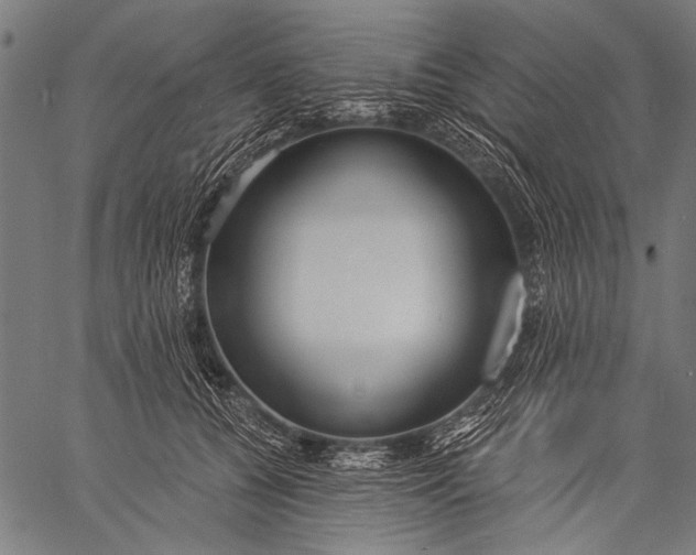 X0000057090560200509301554