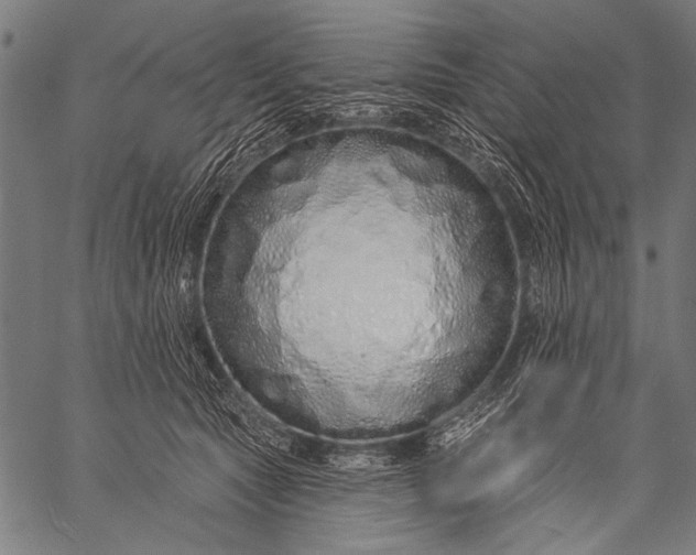 X0000057090561200509301554