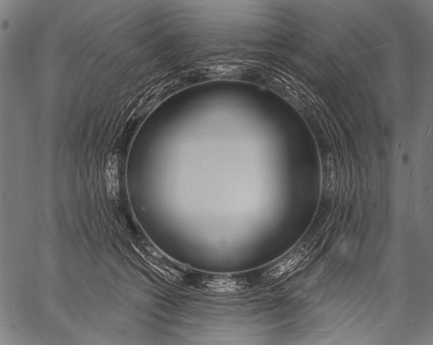 X0000057090562200509301554