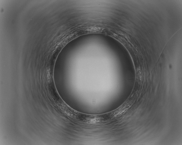 X0000057090564200509301554