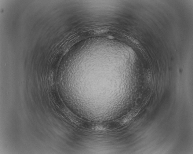 X0000057090565200509301554