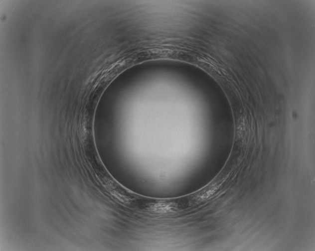 X0000057090566200509301554