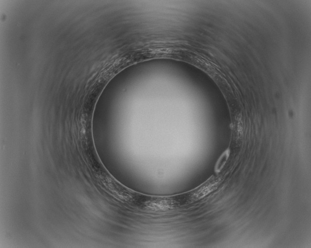 X0000057090567200509301554