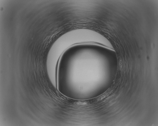 X0000057090570200509301554