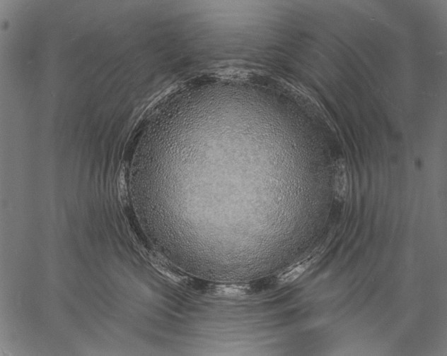 X0000057090573200509301554