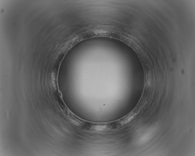 X0000057090575200509301554