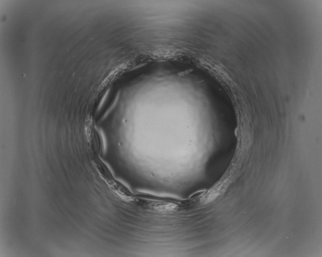 X0000057090576200509301554