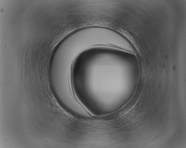 X0000057090577200509301553