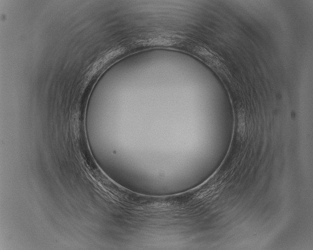 X0000057090578200509301553