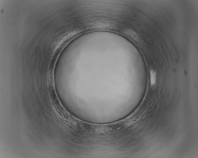 X0000057090579200509301553