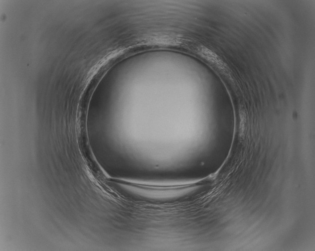 X0000057090580200509301553