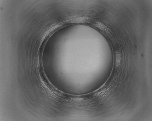 X0000057090582200509301553