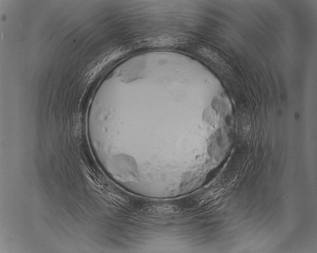 X0000057090583200509301553