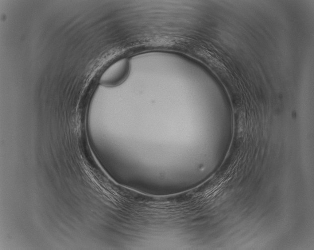 X0000057090584200509301553