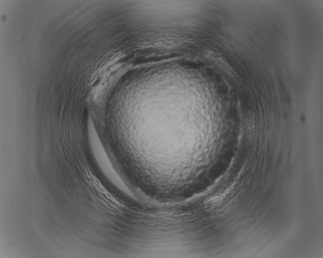 X0000057090585200509301553