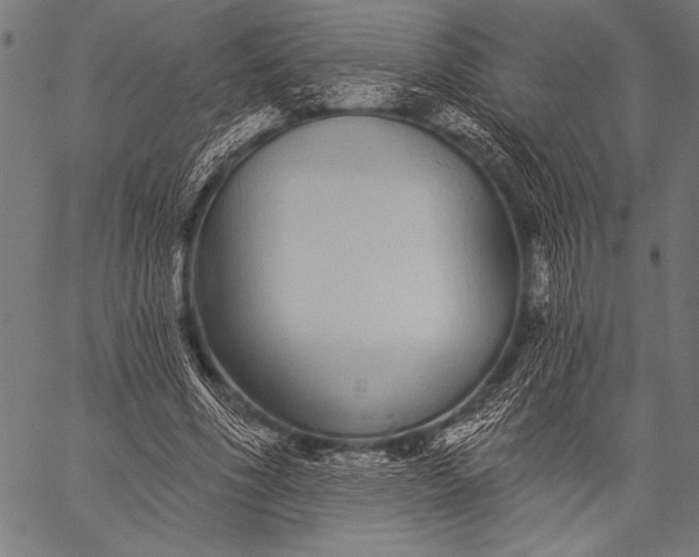 X0000057090586200509301553