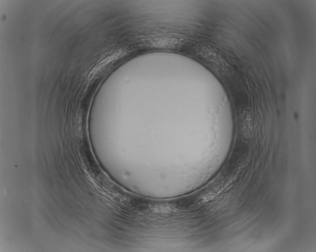 X0000057090587200509301553