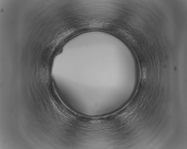 X0000057090588200509301553