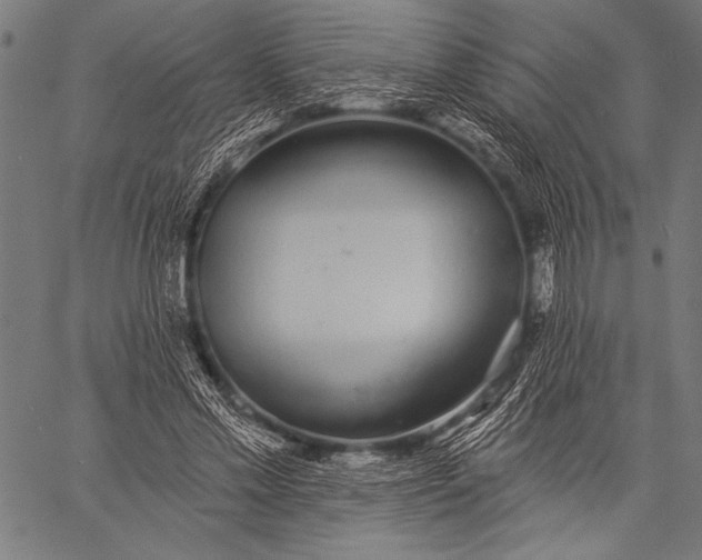 X0000057090589200509301553