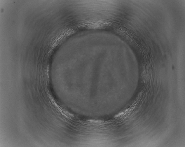 X0000057090590200509301553