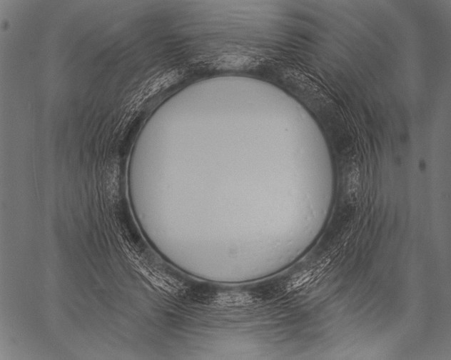 X0000057090591200509301553