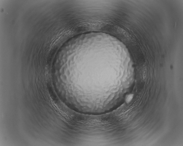 X0000057090594200509301553