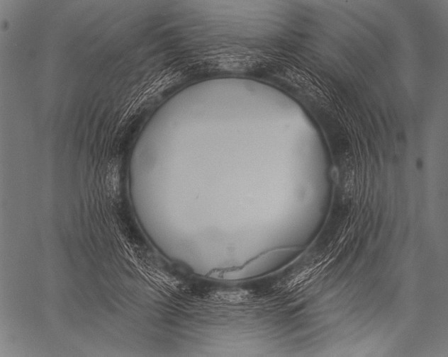 X0000057090595200509301553