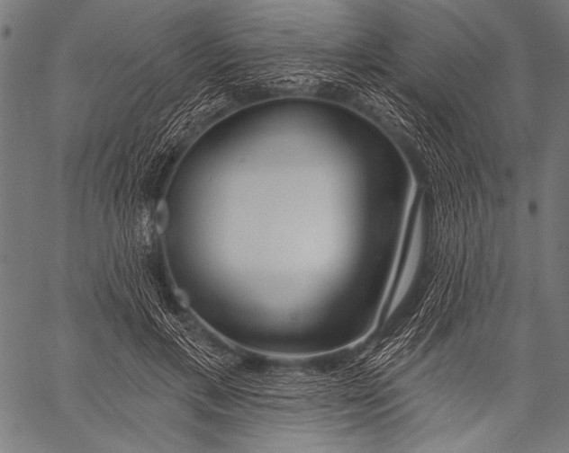 X0000057090597200509301553