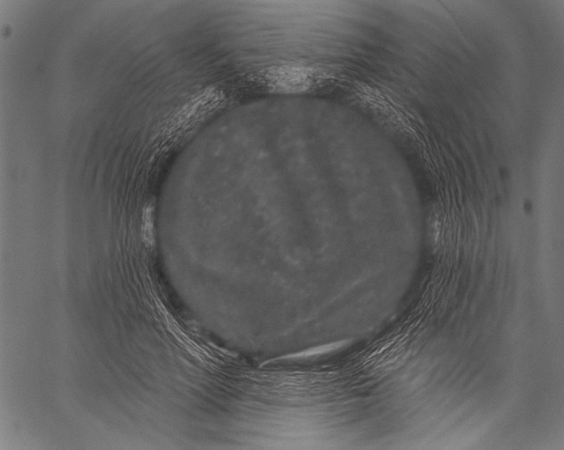 X0000057090598200509301553