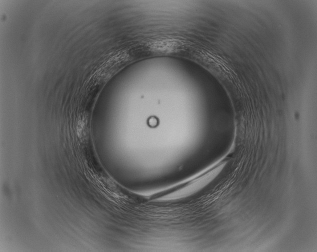 X0000057090601200509301553